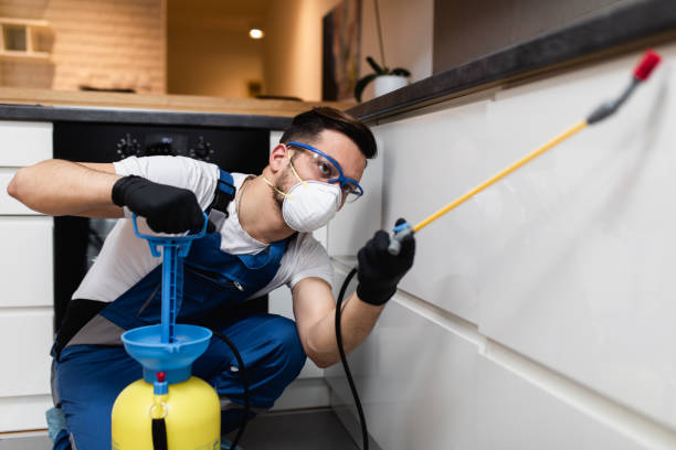 Best Mosquito Control Services  in Globe, AZ