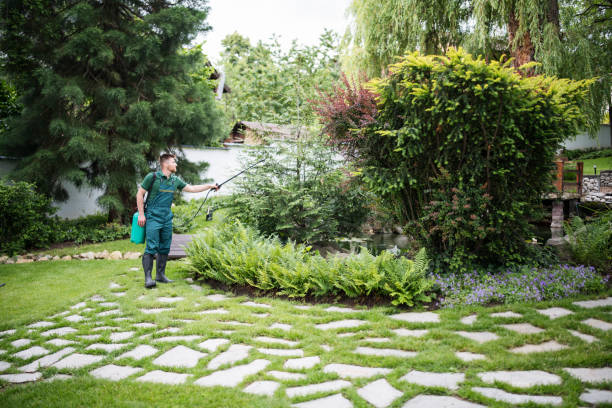 Best Best Pest Control Companies  in Globe, AZ