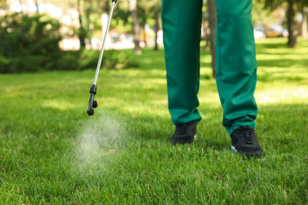 Best Residential Pest Control  in Globe, AZ