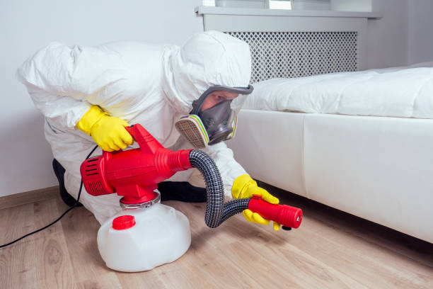 Best Commercial Pest Control Services  in Globe, AZ