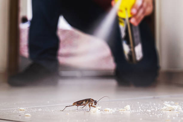 Reliable Globe, AZ Pest Control Solutions