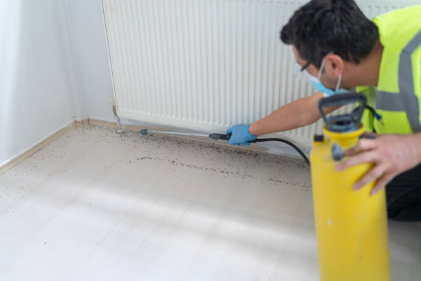 Best Emergency Pest Control  in Globe, AZ